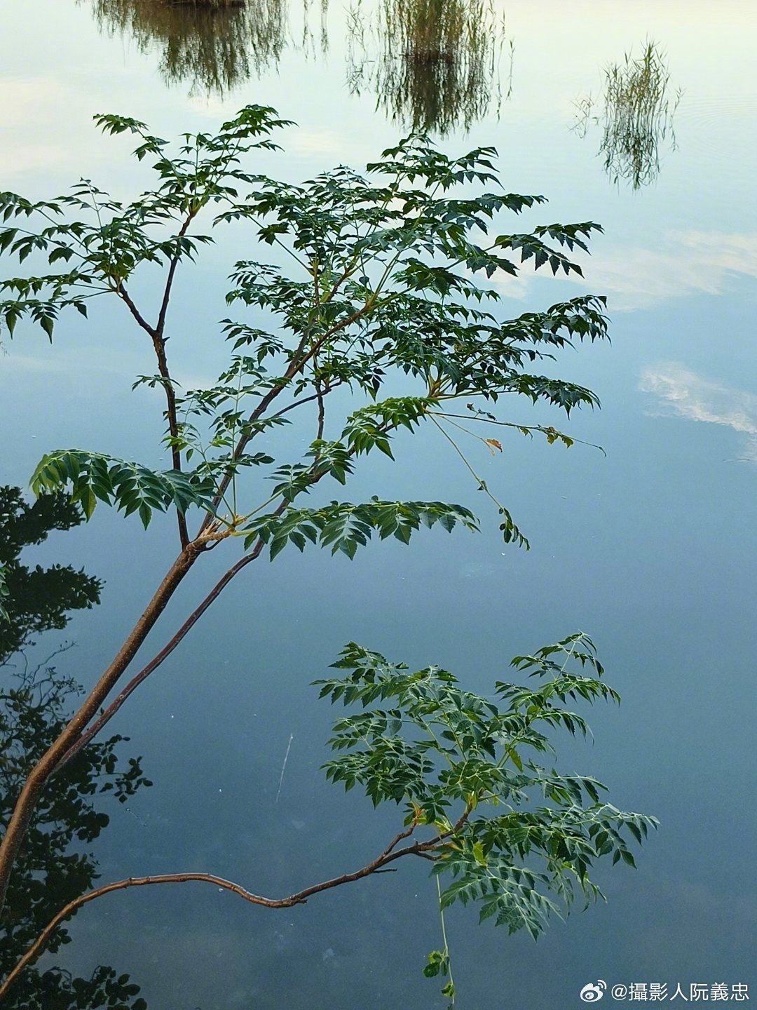 铁合金坚韧如磐，卷地风散望湖水，天际景致映合金