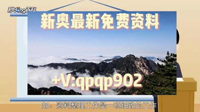 2024年正版资料免费大全亮点-精选解释解析落实