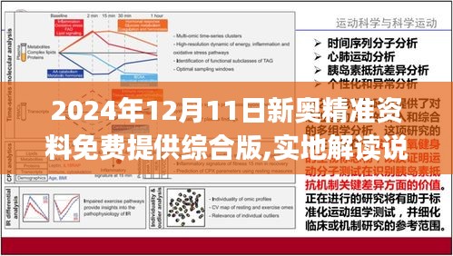 2024新奥天天免费资料-构建解答解释落实