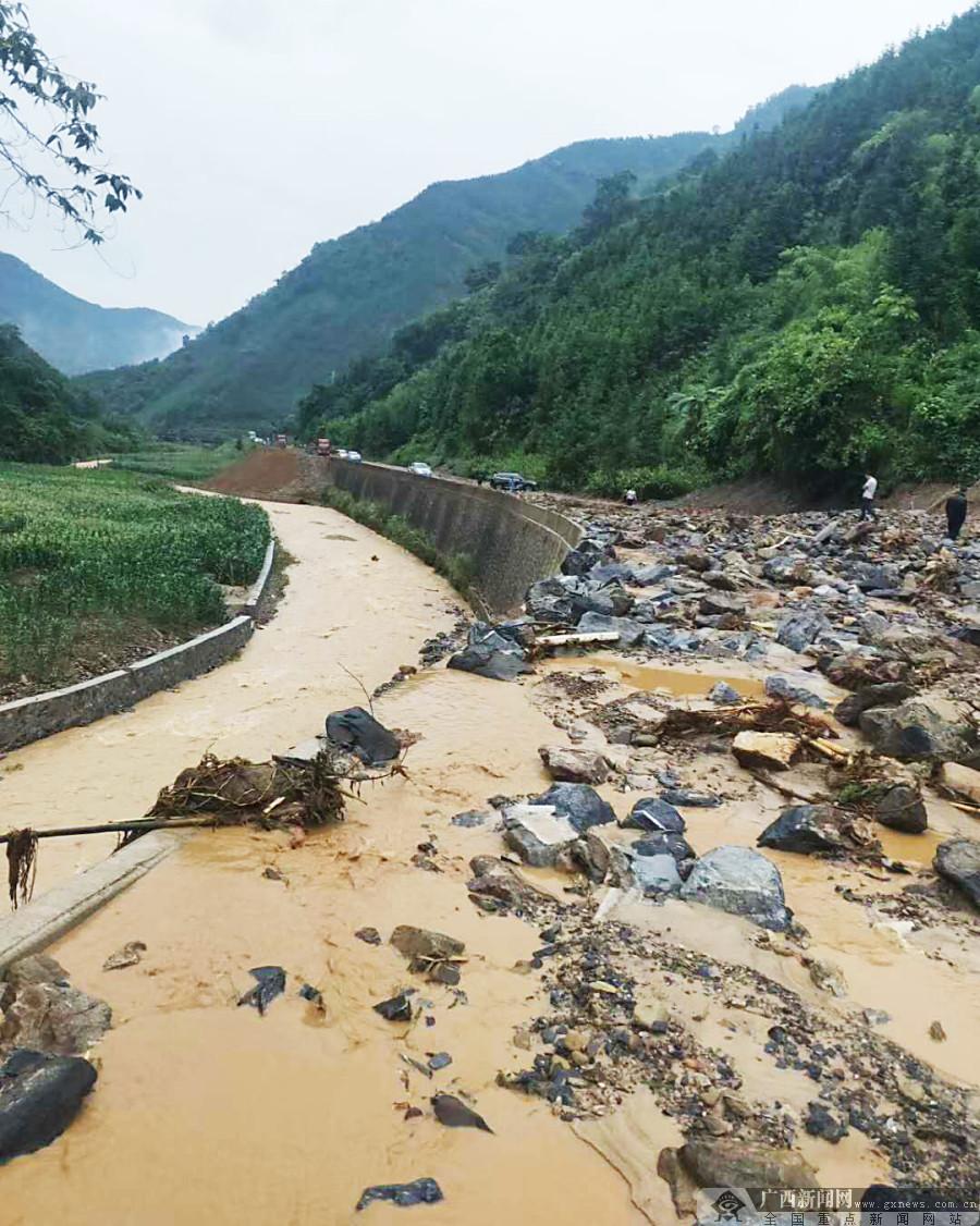 天峨县最新新闻报道