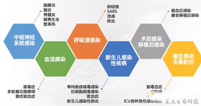 最新疫情的总体形势，全球视野下的挑战与应对策略