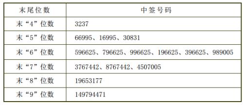 最新申购中签号码公布，解读与影响分析