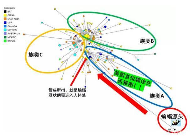 最新一波病毒，挑战与应对策略