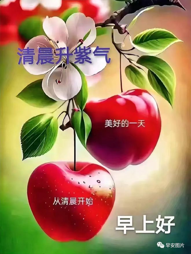 早上好！最新图片分享——周末的美好时光