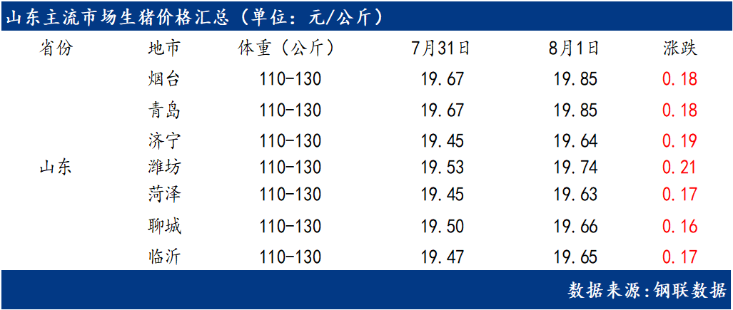 山东明日猪价最新动态分析