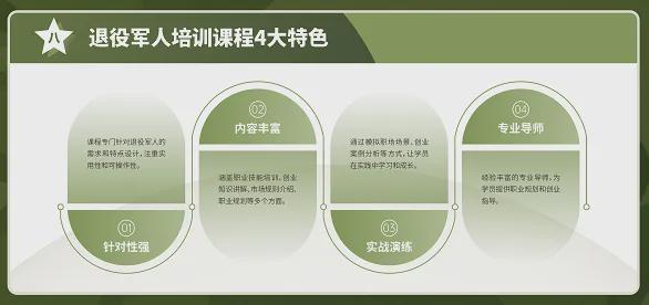 最新军官退役方式，转型与变革中的军队人才流动路径探索