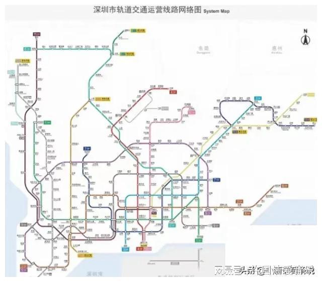 最新深圳地铁运行图解析与观察