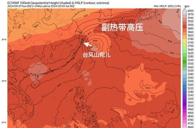 台风局势最新消息，全球影响与应对策略