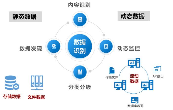 疫情最新消息响应，全球态势与应对策略