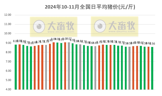 明天生猪价格最新行情分析