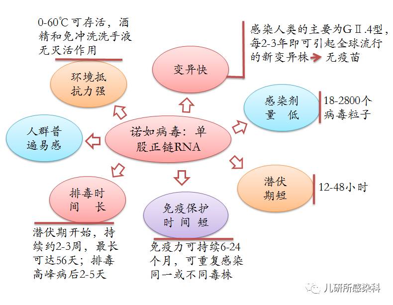 诺如病毒最新状况研究分析