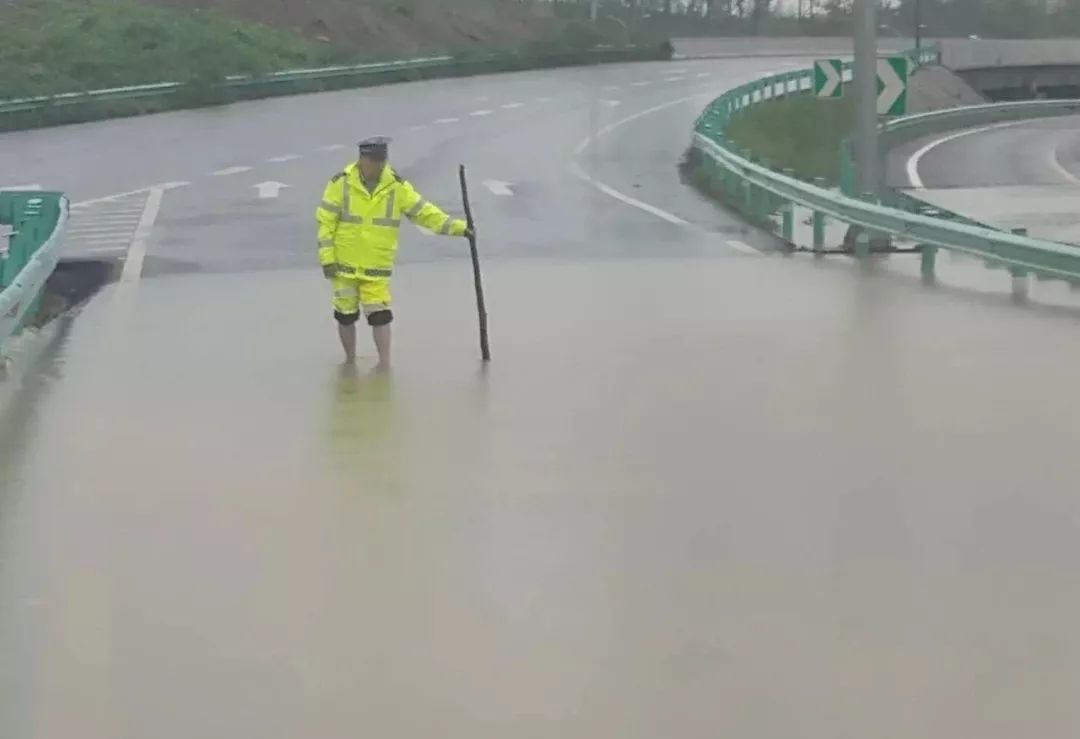 肥西暴雨最新消息，暴雨影响下的紧急应对与救援进展