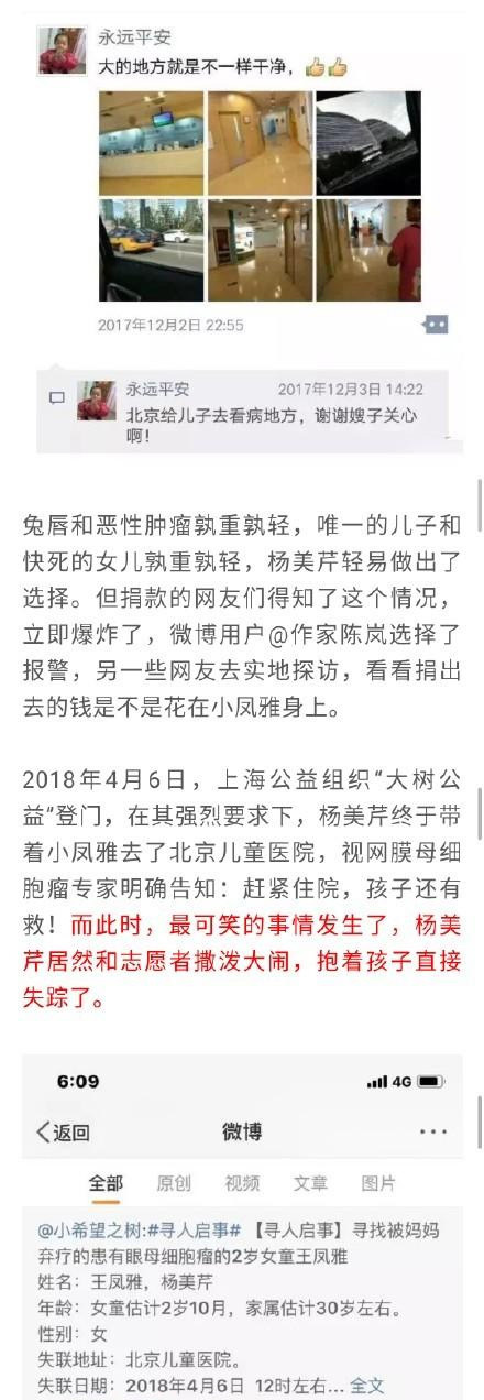 王凤雅最新情况，逆境中的坚韧与希望之花绽放