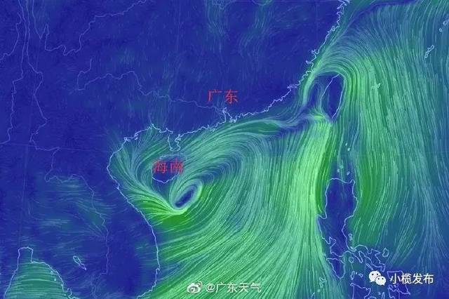 广东最新台风消息（8月）