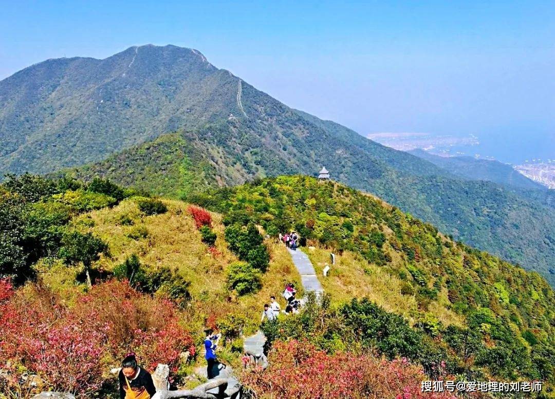 深圳梧桐山最新动态与魅力展现