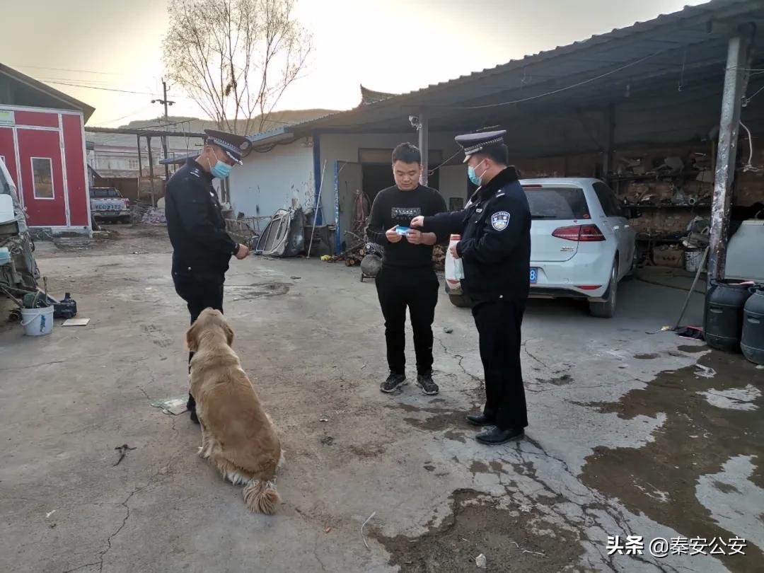 文明养犬的最新规定，构建和谐社会的重要一环