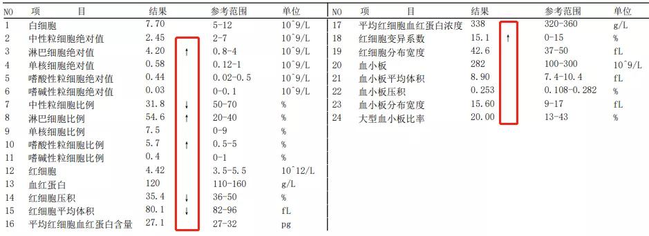 血常规最新版，深入理解与应用