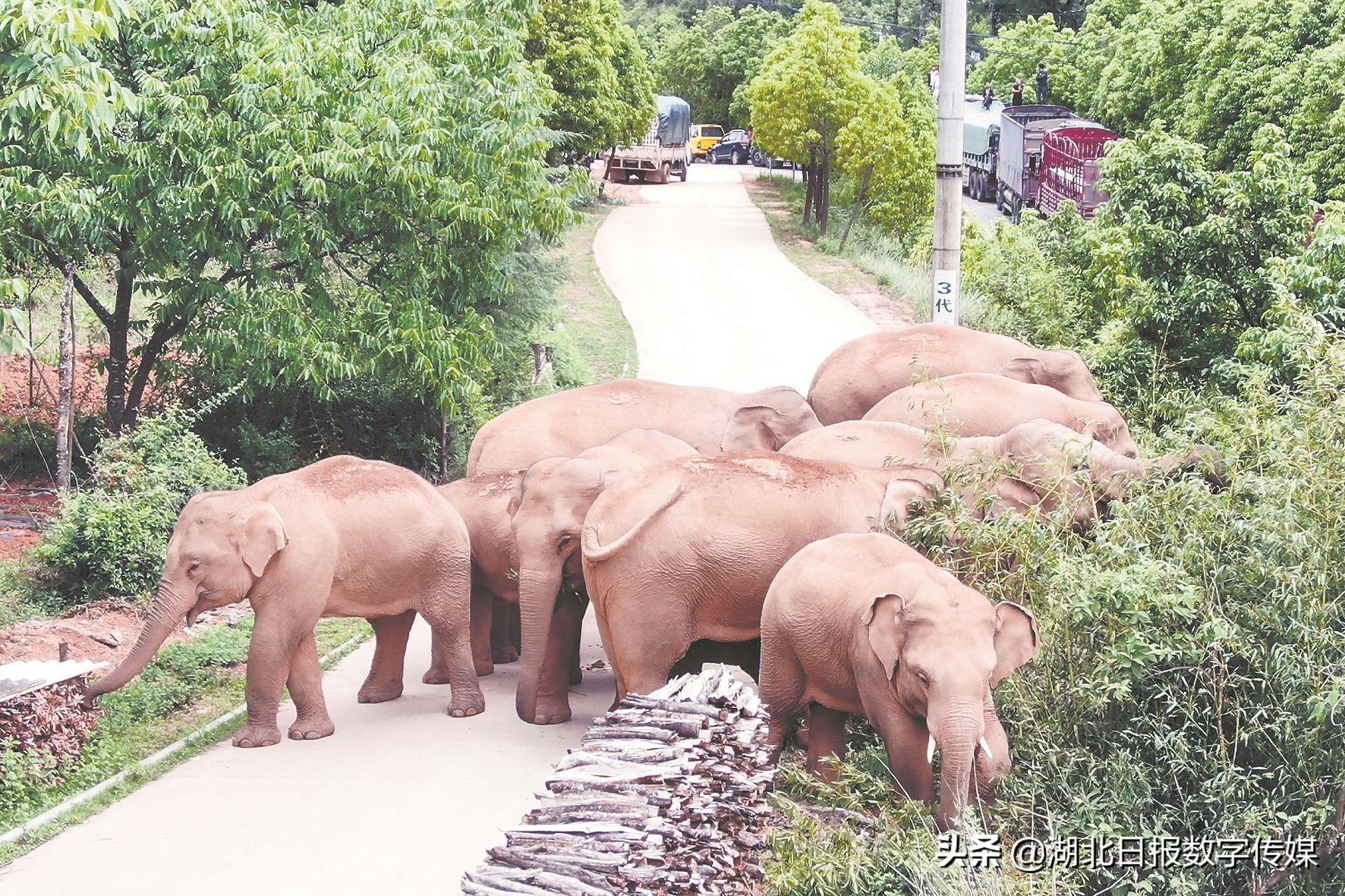 云南旅行团最新报价——探索美丽的多彩云南