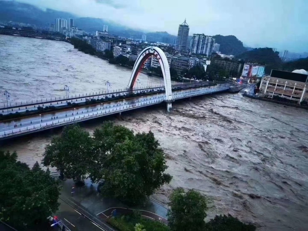 雅安特大暴雨最新情况报道