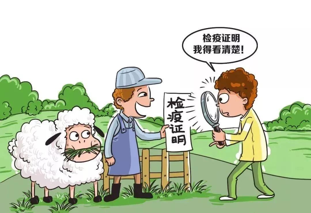 陕西布病最新事件，关注疫情动态，共筑健康防线