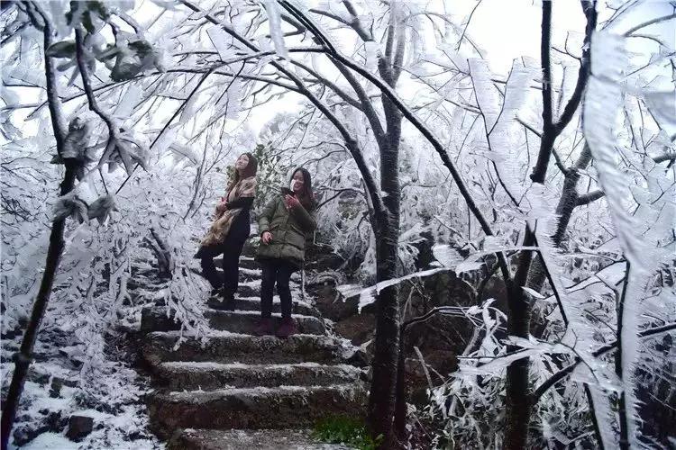 广东周边看雪最新指南