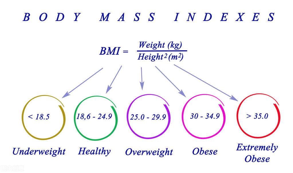 最新的体重表，健康生活的关键指标