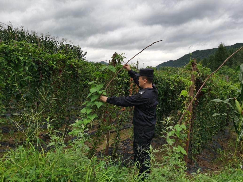 巴威台风视频最新报到，台风动态与影响分析