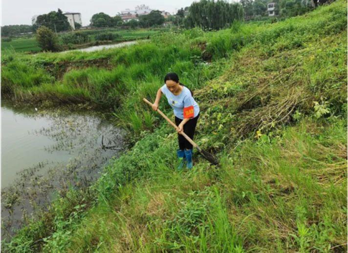 合肥防汛最新消息，全力以赴筑牢城市安全防线