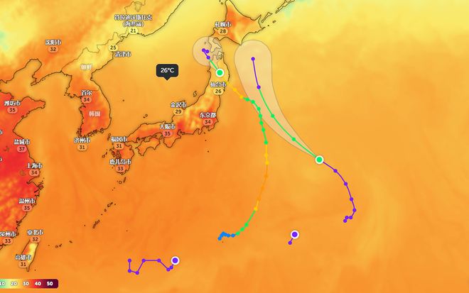 全球最新实时台风路径，掌握台风动态，应对自然灾害的挑战