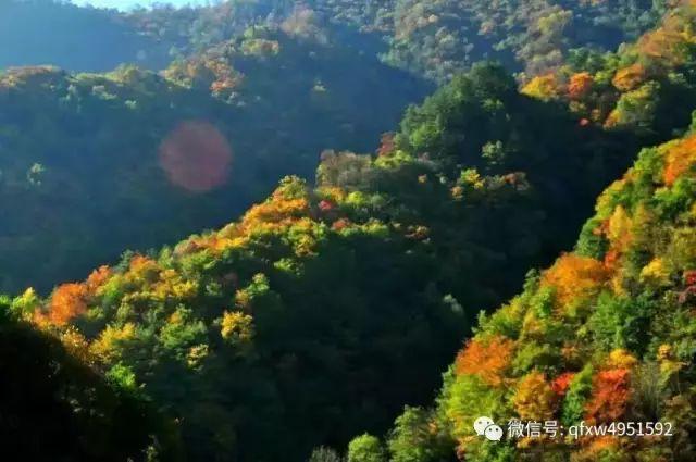 宝鸡建设最新消息，城市焕发新活力