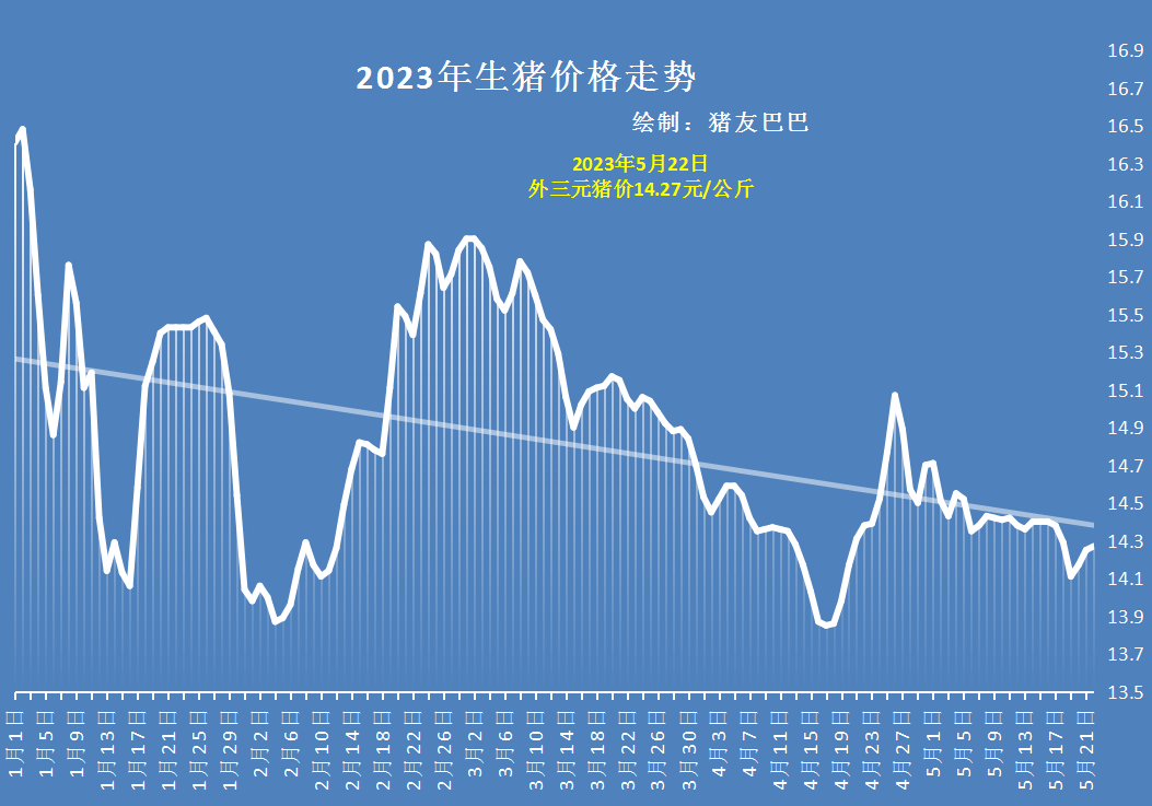 生猪价格今日价最新动态，深度解析市场走势与影响因素（2023年度）