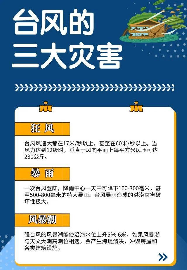 中央台最新台风预报，全面应对，保障安全