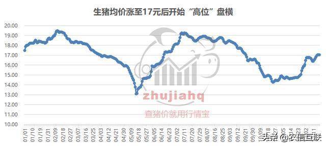 十一月最新猪价分析与展望