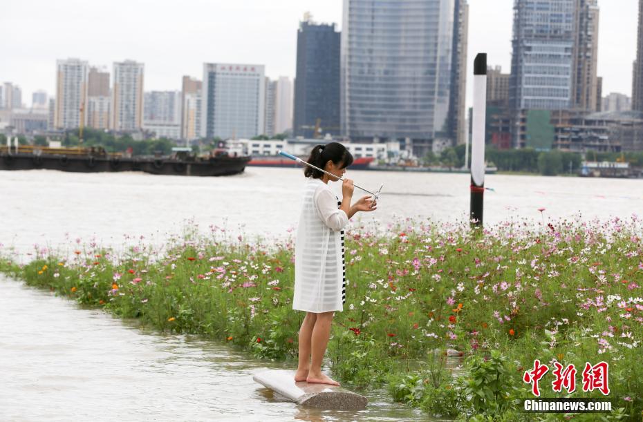 长江武汉段最新水位动态分析