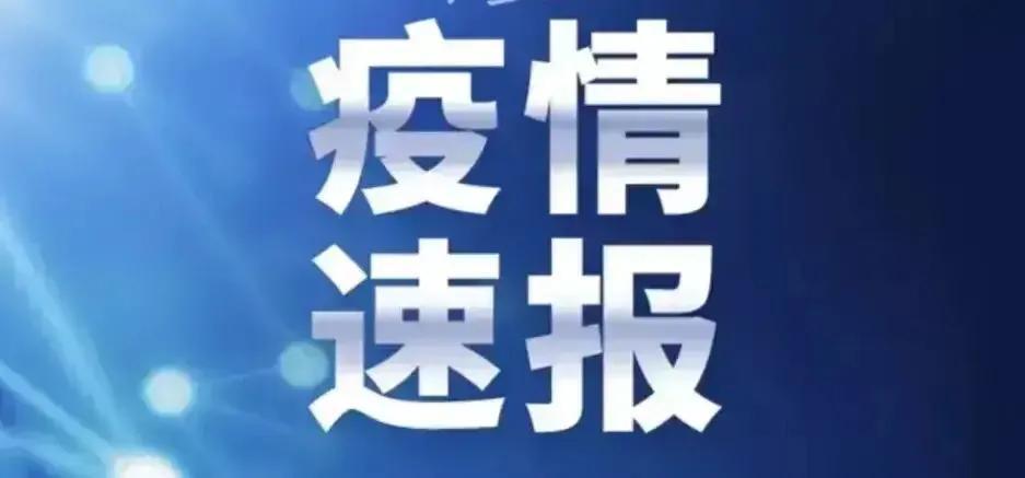 新疆最新疫情动态分析（以XX月XX日为例）