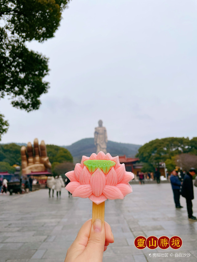 无锡灵山大佛美食最新探秘