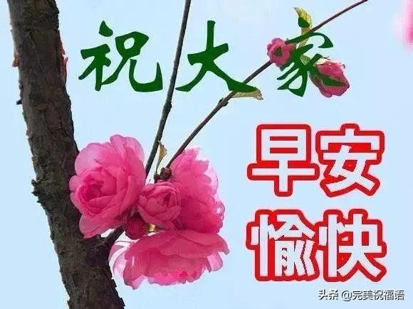 最新早上祝福图一文