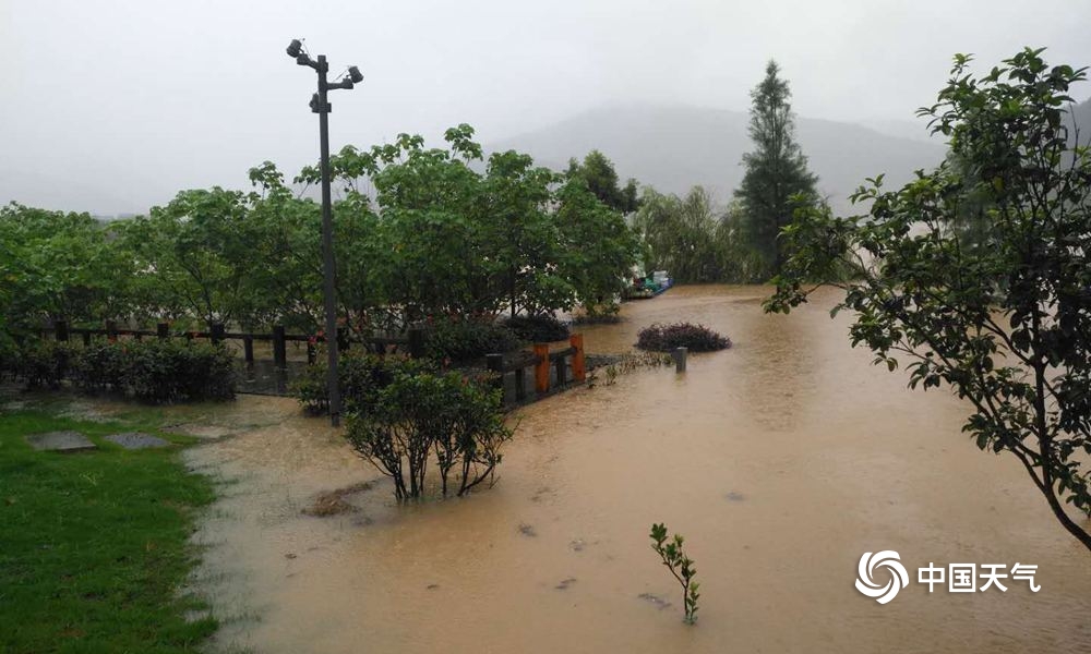 福建暴雨的最新情况